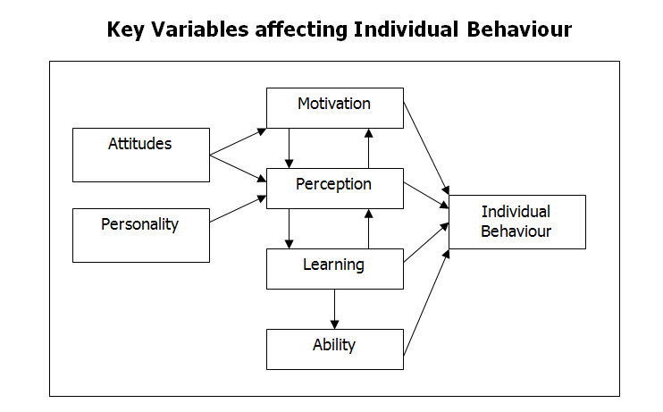 Key Variables affecting Individual Behaviour