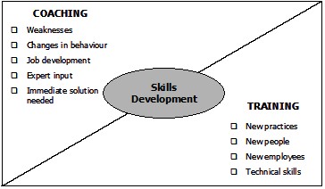 Skills Development through Coaching and Training